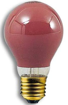 Gekleurde Gloeilamp - Rood