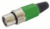 XLR Plug 3polig Female Groen