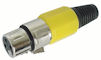 XLR Plug 3polig Female Geel