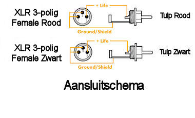 Dubbele XLR - Tulp Kabel 0,75m