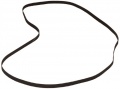 Platte Snaar