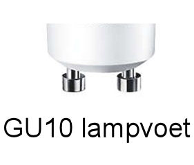 Halogeenlamp 230V - 50W - GU10